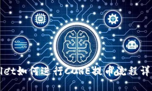 TPWallet如何进行CORE提币流程详细指南