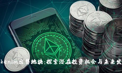 Tokenim出售地块:探索潜在投资机会与未来发展