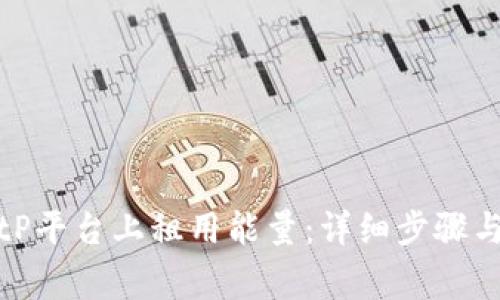 如何在BitP平台上租用能量：详细步骤与注意事项