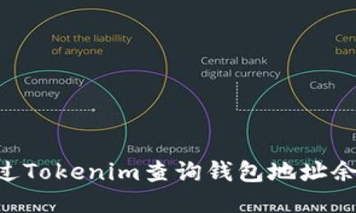 ziaoti如何通过Tokenim查询钱包地址余额的详细教程