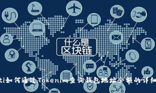 ziaoti如何通过Tokenim查询钱包地址余额的详细教程