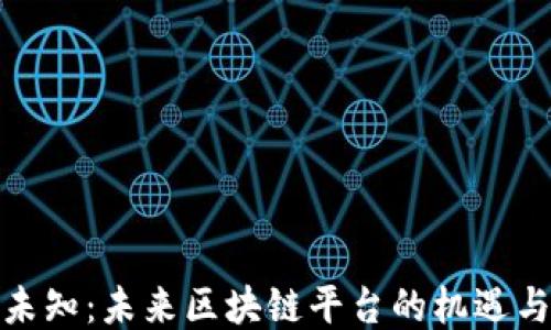 
探索未知：未来区块链平台的机遇与挑战