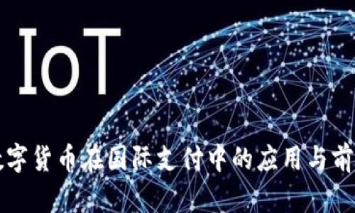 中国数字货币在国际支付中的应用与前景探讨