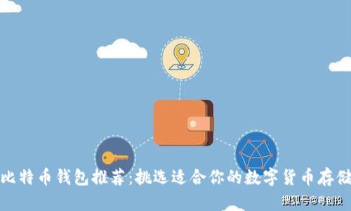 最佳比特币钱包推荐：挑选适合你的数字货币存储方案