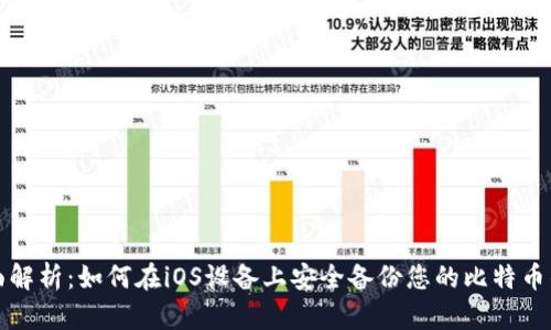全面解析：如何在iOS设备上安全备份您的比特币钱包