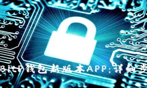如何下载安装BitP钱包新版本APP:详细步骤与注意事项