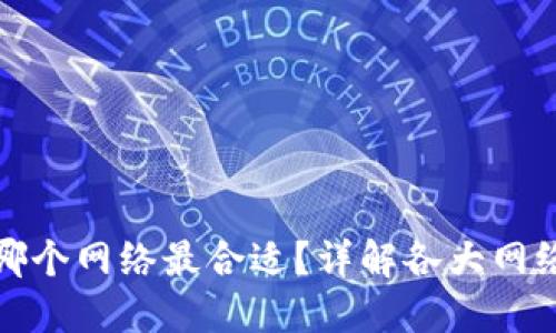 TP钱包选择哪个网络最合适?详解各大网络特点与优势