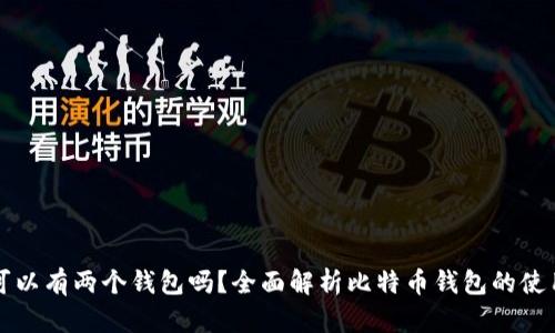比特币可以有两个钱包吗？全面解析比特币钱包的使用与管理
