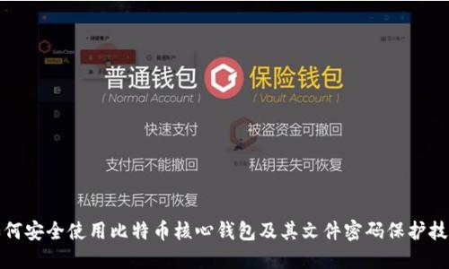 如何安全使用比特币核心钱包及其文件密码保护技巧