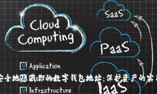 如何安全地隐藏你的数字钱包地址：保护资产的实用指南