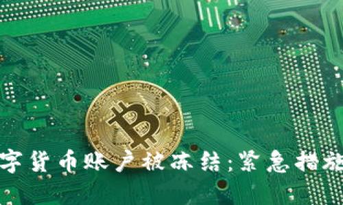 如何应对数字货币账户被冻结：紧急措施与长期策略