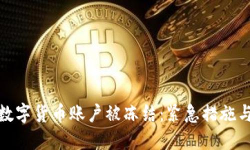 如何应对数字货币账户被冻结：紧急措施与长期策略