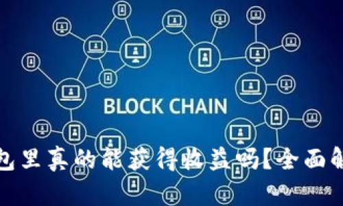 比特币放在钱包里真的能获得收益吗？全面解析与投资策略